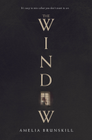 book cover for The Window