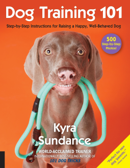 book cover for Dog Training 101