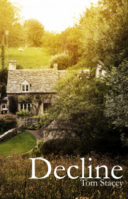 book cover for Decline