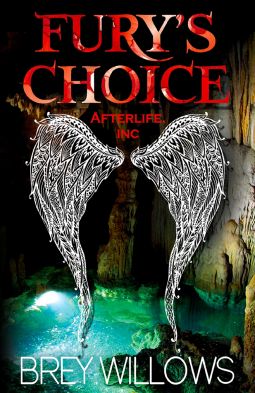 book cover for Fury's Choice
