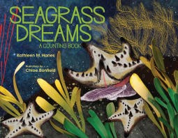 book cover for Seagrass Dreams