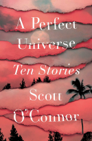book cover for A Perfect Universe