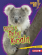 Cover Image: Meet a Baby Koala