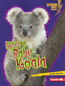 book cover for Meet a Baby Koala