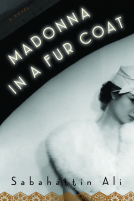 book cover for Madonna in a Fur Coat