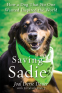 Cover Image: Saving Sadie