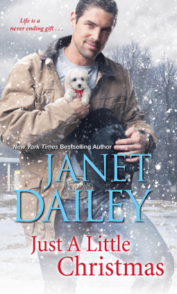book cover for Just a Little Christmas