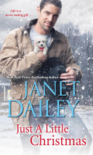 book cover for Just a Little Christmas