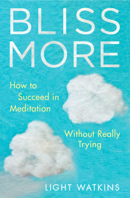 book cover for Bliss More