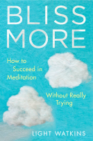 book cover for Bliss More
