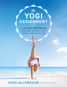 book cover for The Yogi Assignment