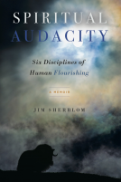 book cover for Spiritual Audacity