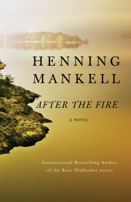 book cover for After the Fire
