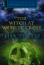 Cover Image: The Curious Affair of the Witch at Wayside Cross