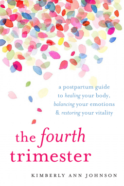 book cover for The Fourth Trimester