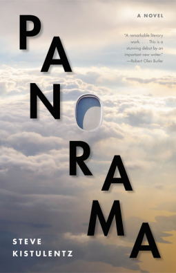 book cover for Panorama