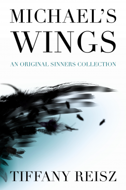 book cover for Michael's Wings