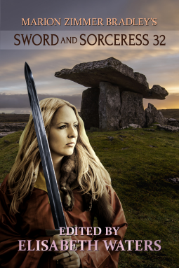 book cover for Sword and Sorceress 32