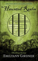 book cover for The Haunted Realm