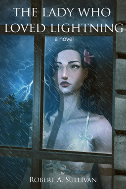 book cover for The Lady Who Loved Lightning