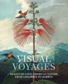book cover for Visual Voyages