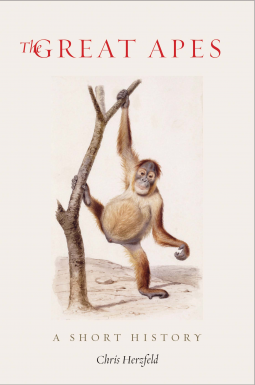 book cover for The Great Apes