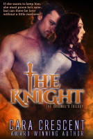 book cover for The Knight