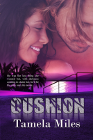 book cover for Cushion