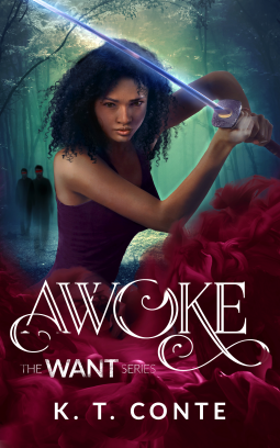 book cover for Awoke
