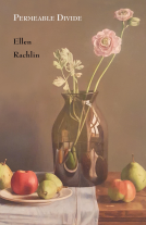 book cover for Permeable Divide