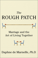 book cover for The Rough Patch