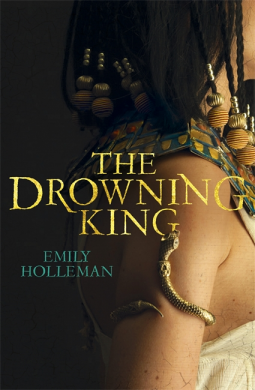 book cover for The Drowning King
