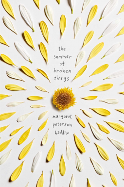 book cover for The Summer of Broken Things