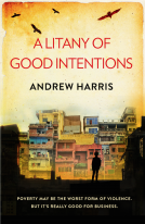 book cover for A Litany of Good Intentions