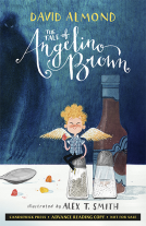 book cover for The Tale of Angelino Brown