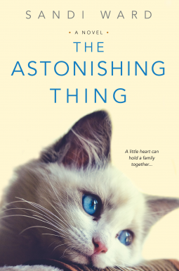 book cover for The Astonishing Thing