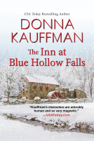 book cover for The Inn at Blue Hollow Falls