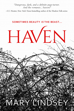 book cover for Haven