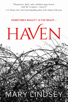 book cover for Haven