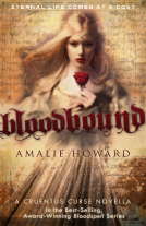 book cover for Bloodbound