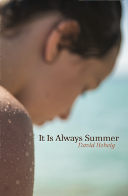 book cover for It Is Always Summer