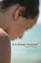 book cover for It Is Always Summer