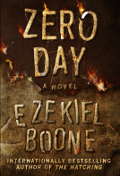 book cover for Zero Day