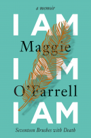 book cover for I Am, I Am, I Am