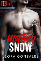 book cover for Melting Snow