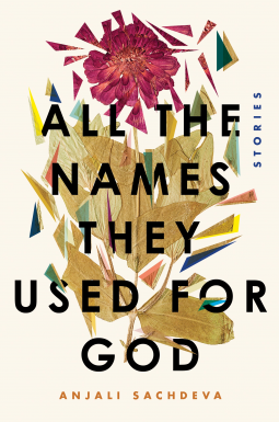 book cover for All the Names They Used for God