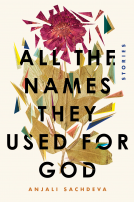 book cover for All the Names They Used for God