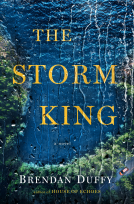 book cover for The Storm King