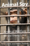 Cover Image: Animal Spy