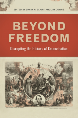 book cover for Beyond Freedom
